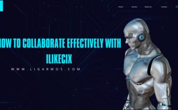 How to Collaborate Effectively with ilikecix