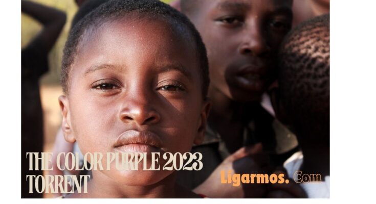 The color purple 2023 torrent