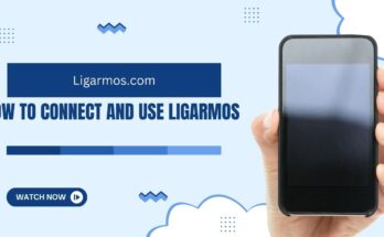 How to Connect and Use Ligarmos