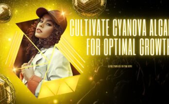 Cultivate Cyanova Algae for Optimal Growth