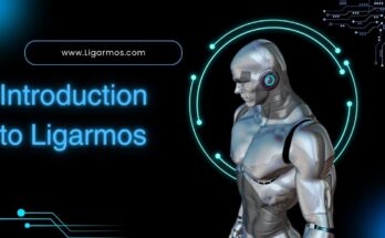 Connect and Use Ligarmos