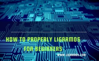 Properly Ligarmos for Beginners