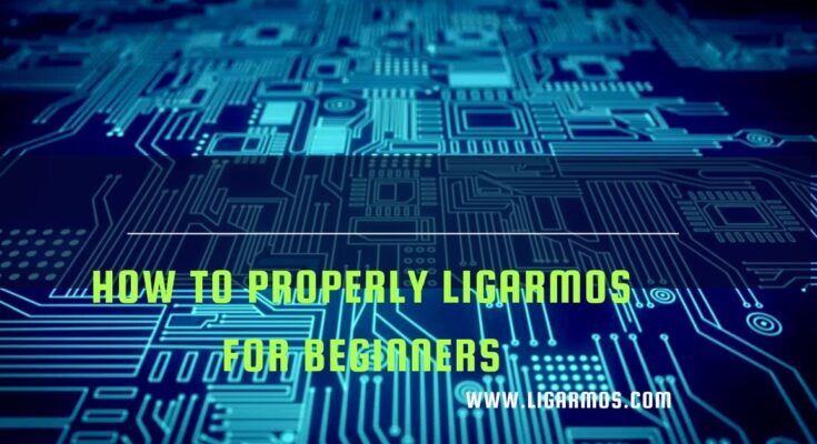 Properly Ligarmos for Beginners