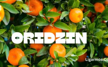 oridzin: A Comprehensive Guide to Health and Wellness