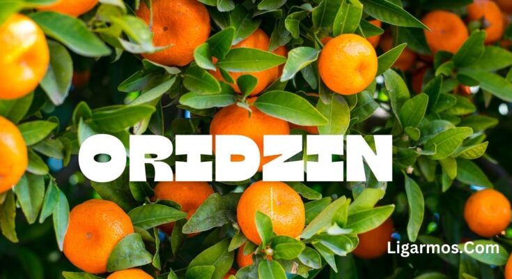 oridzin: A Comprehensive Guide to Health and Wellness