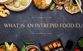 what is intrepid food.eu