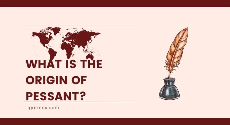 What is the Origin of Pessant?